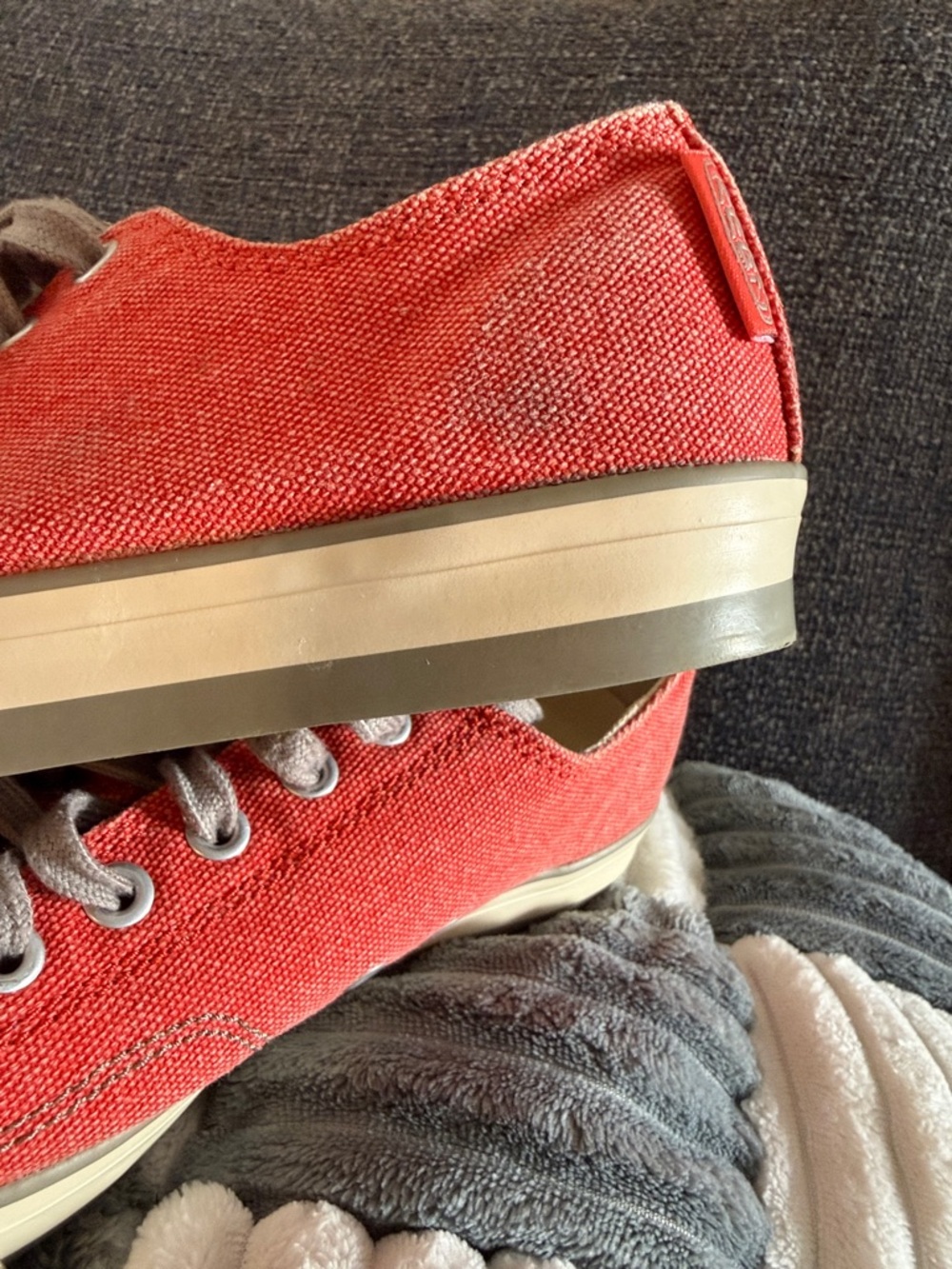 Keen Canvas Sneakers with Gray Laces - Picture 12 of 12